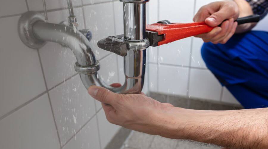 Professional Leak Detection services in Pell Lake, WI